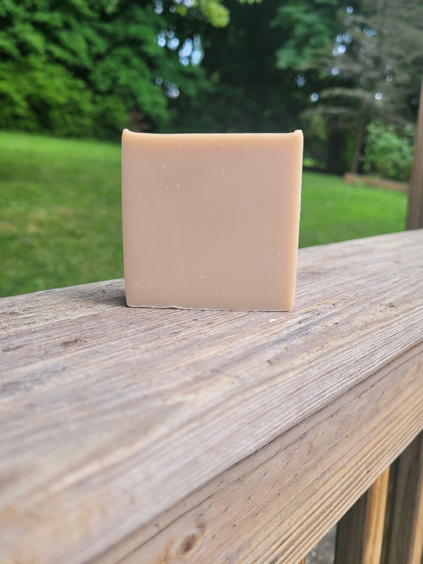 The Dreamer - Palm Free Soap